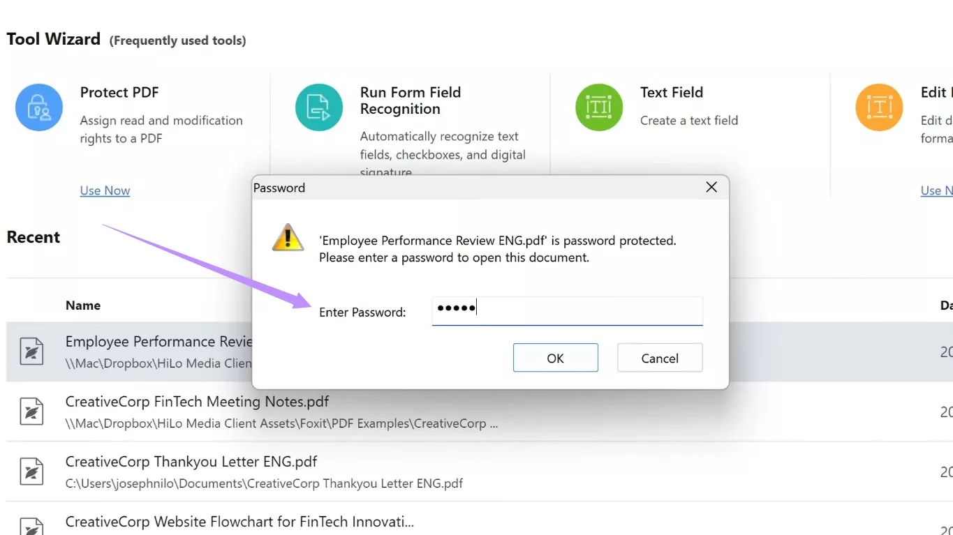 enter password to open pdf in foxit