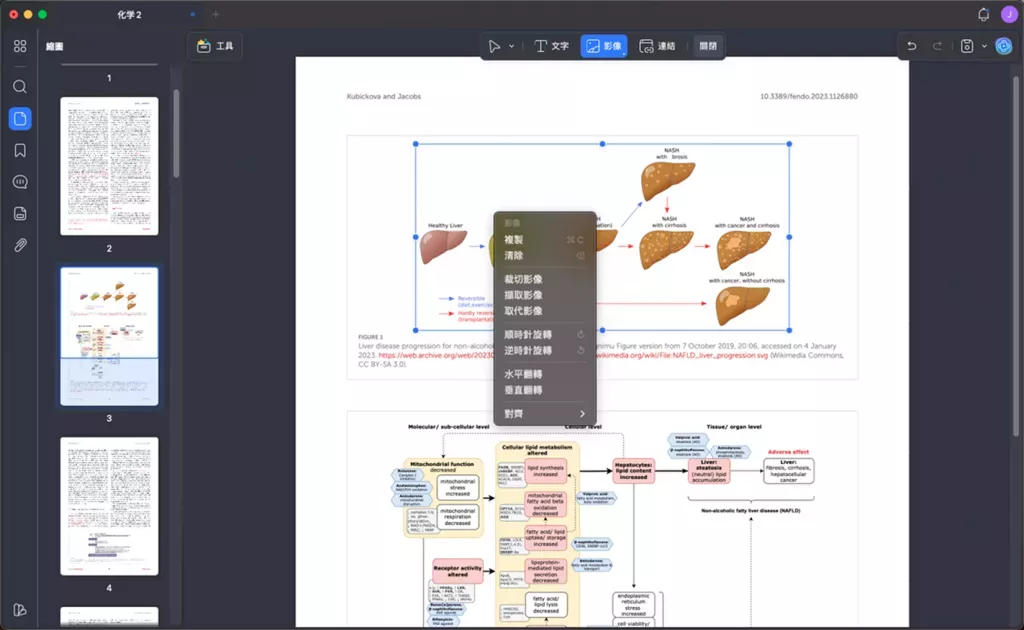 從 PDF 文件擷取圖片