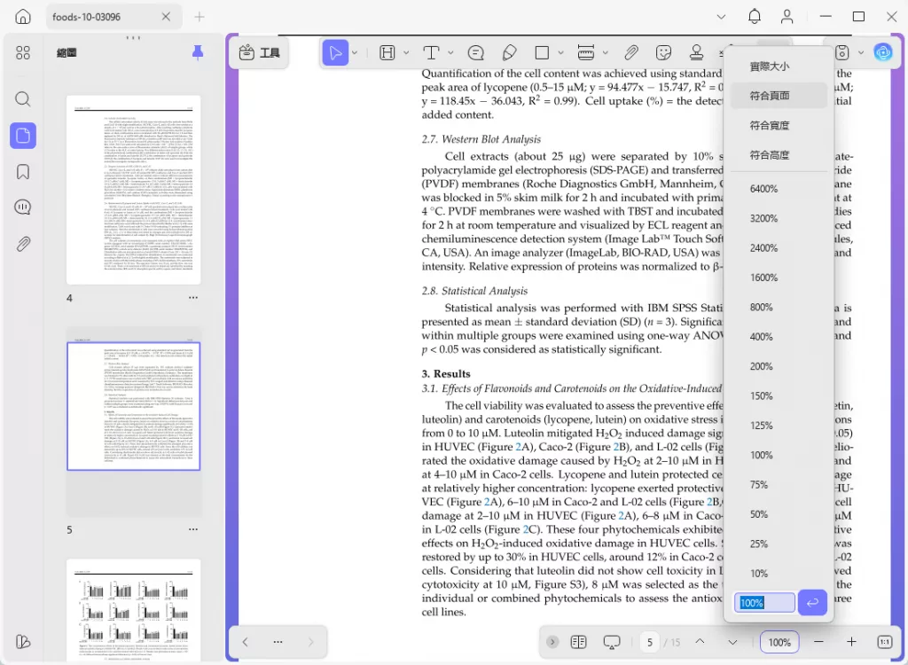 PDF 版面設計