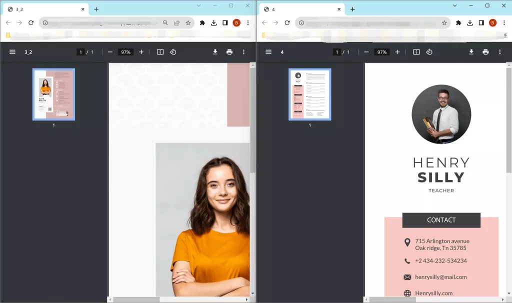 使用 Chrome 分屏檢視 PDF 文檔
