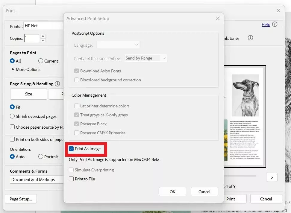 adobe 把 PDF 列印成圖片