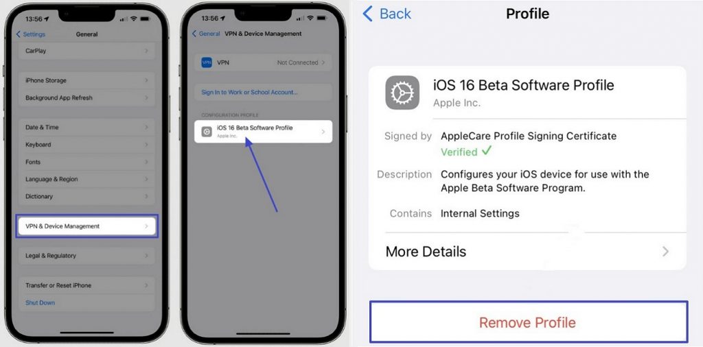 remove profile from beta software 