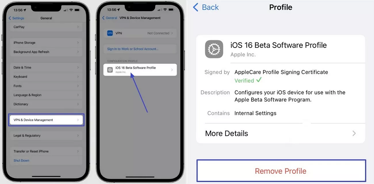 Profil aus Beta-Software entfernen