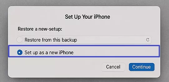 continue set up as new iphone