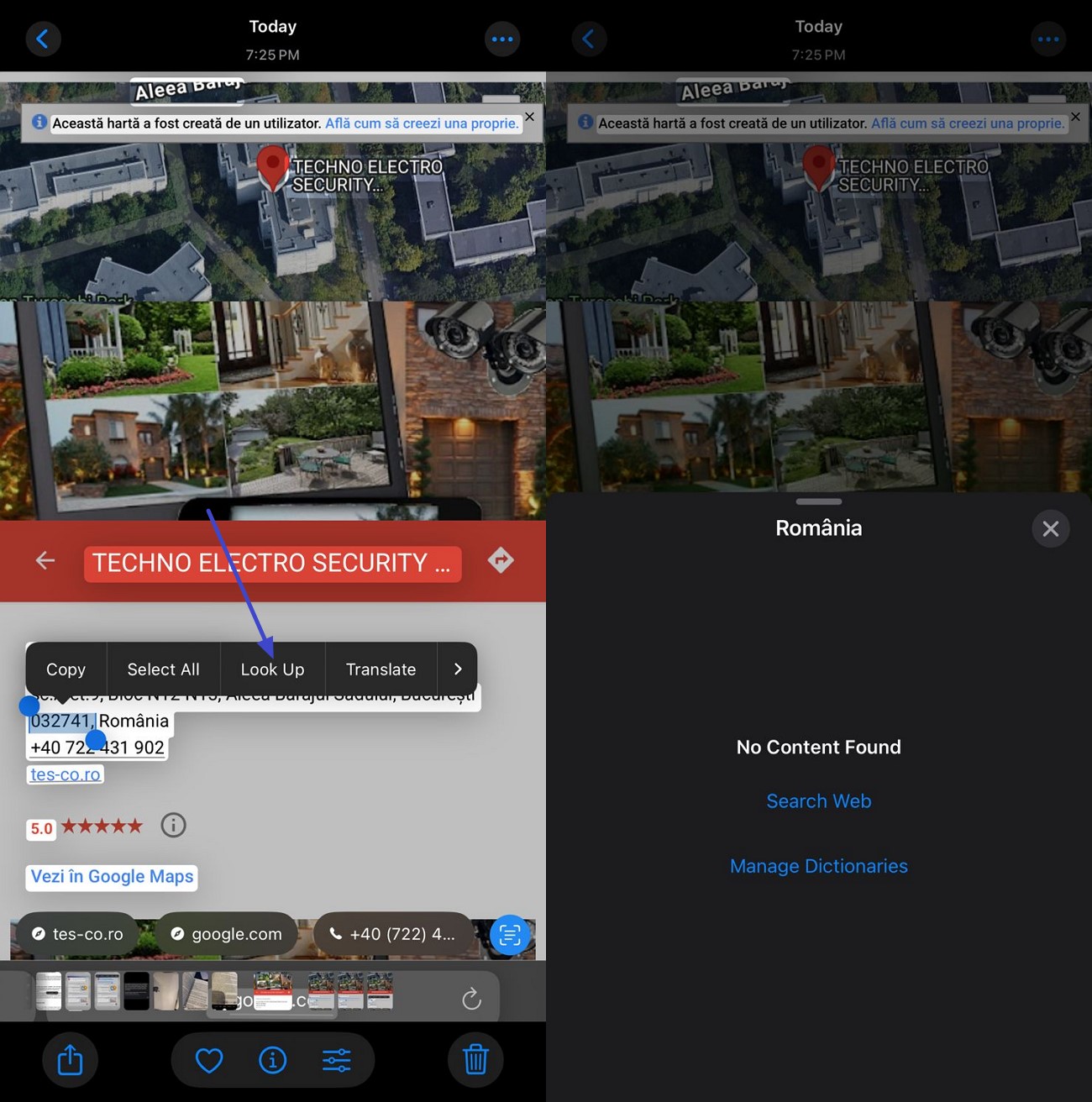 look up feature live text