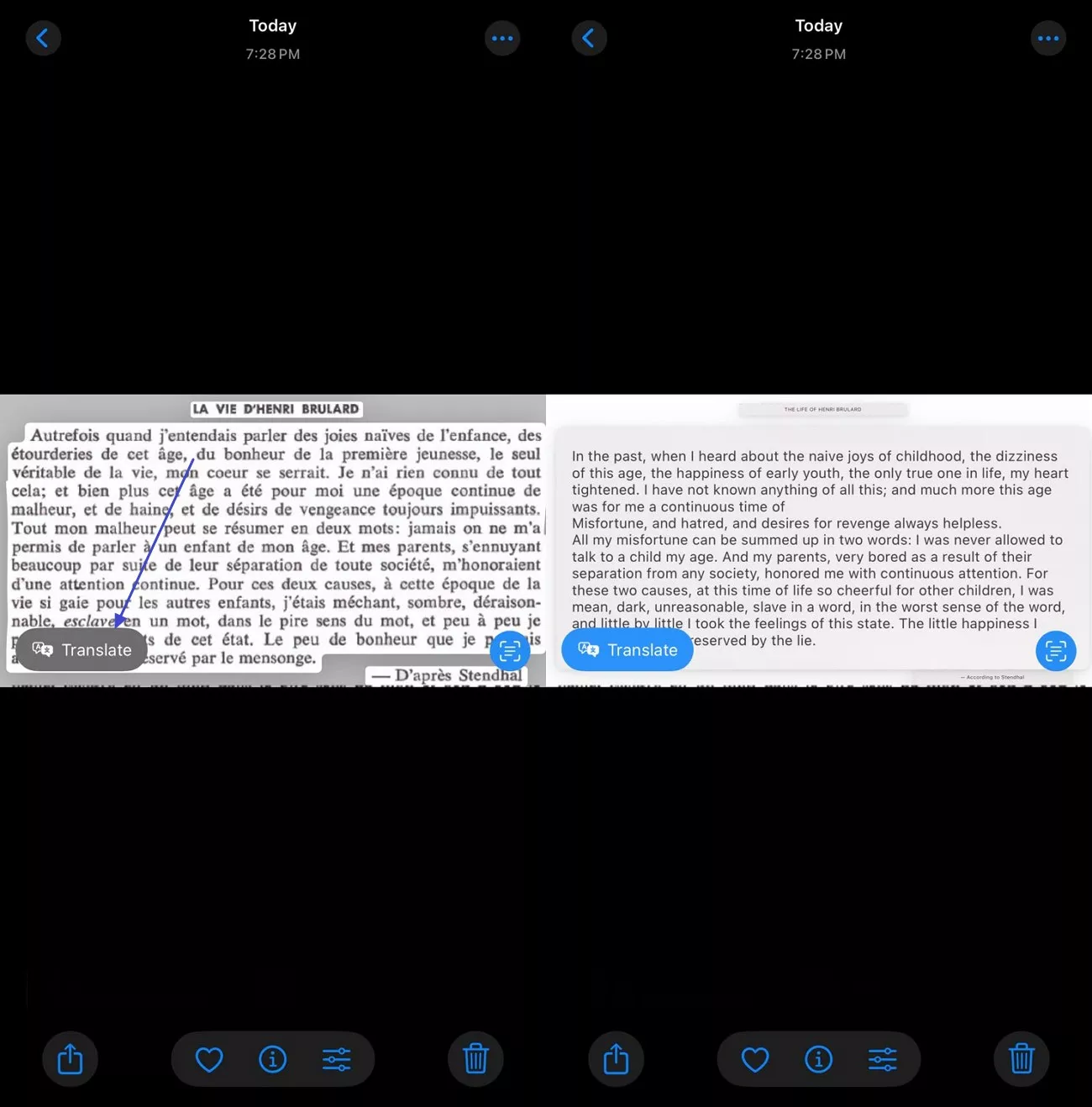 translate live text selected