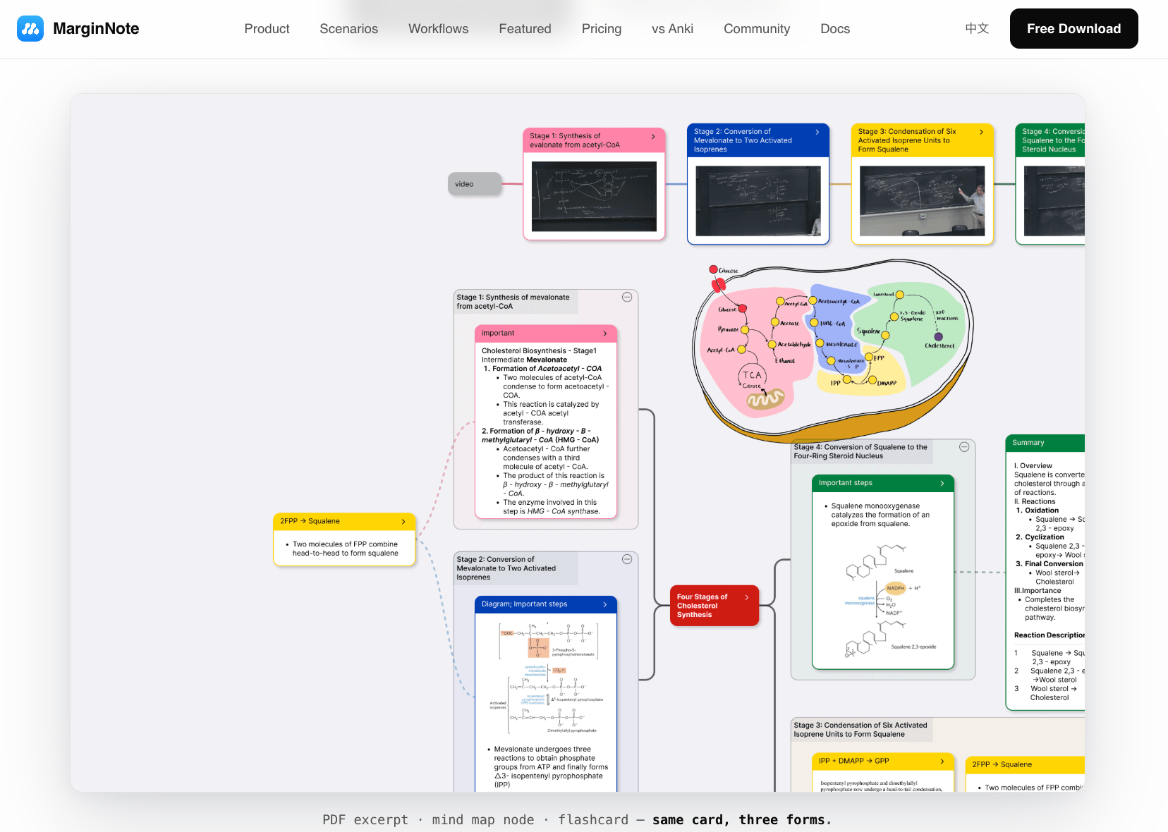 marginote 4 turns highlighting into a learning system