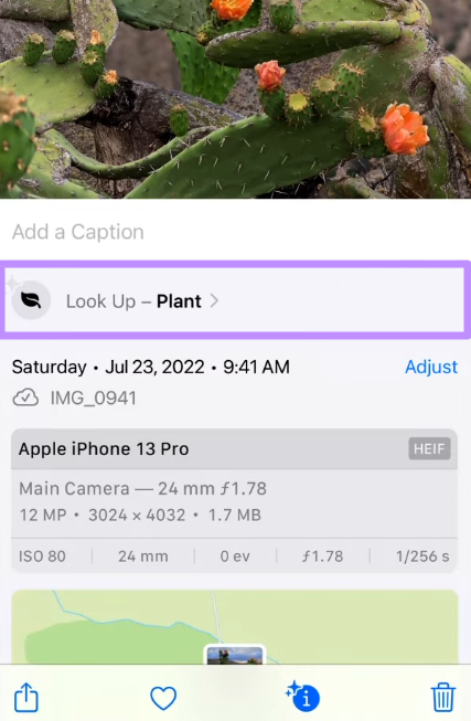 press look up button