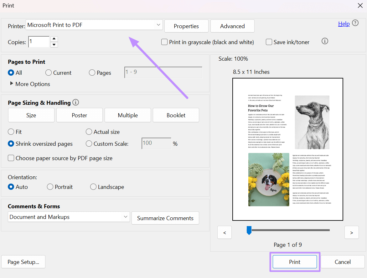 print original file as pdf acrobat