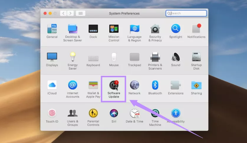 select software update mac
