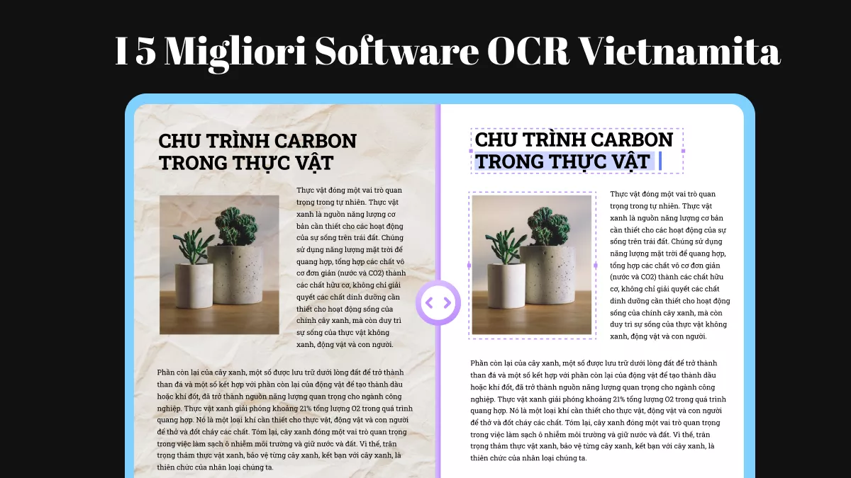 I 5 Migliori Software OCR Vietnamita (Facili e Accurati)