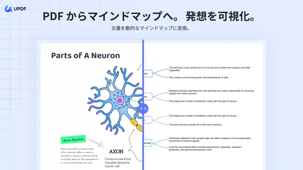 PDFからマインドマップへの変換