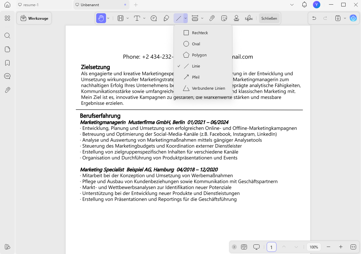 leerer lebenslauf pdf abschnitt erfahrung hinzufügen