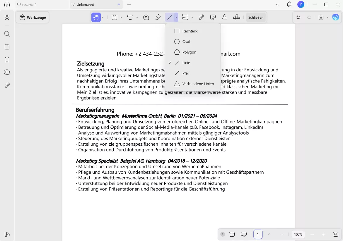 leerer lebenslauf pdf abschnitt erfahrung hinzufügen
