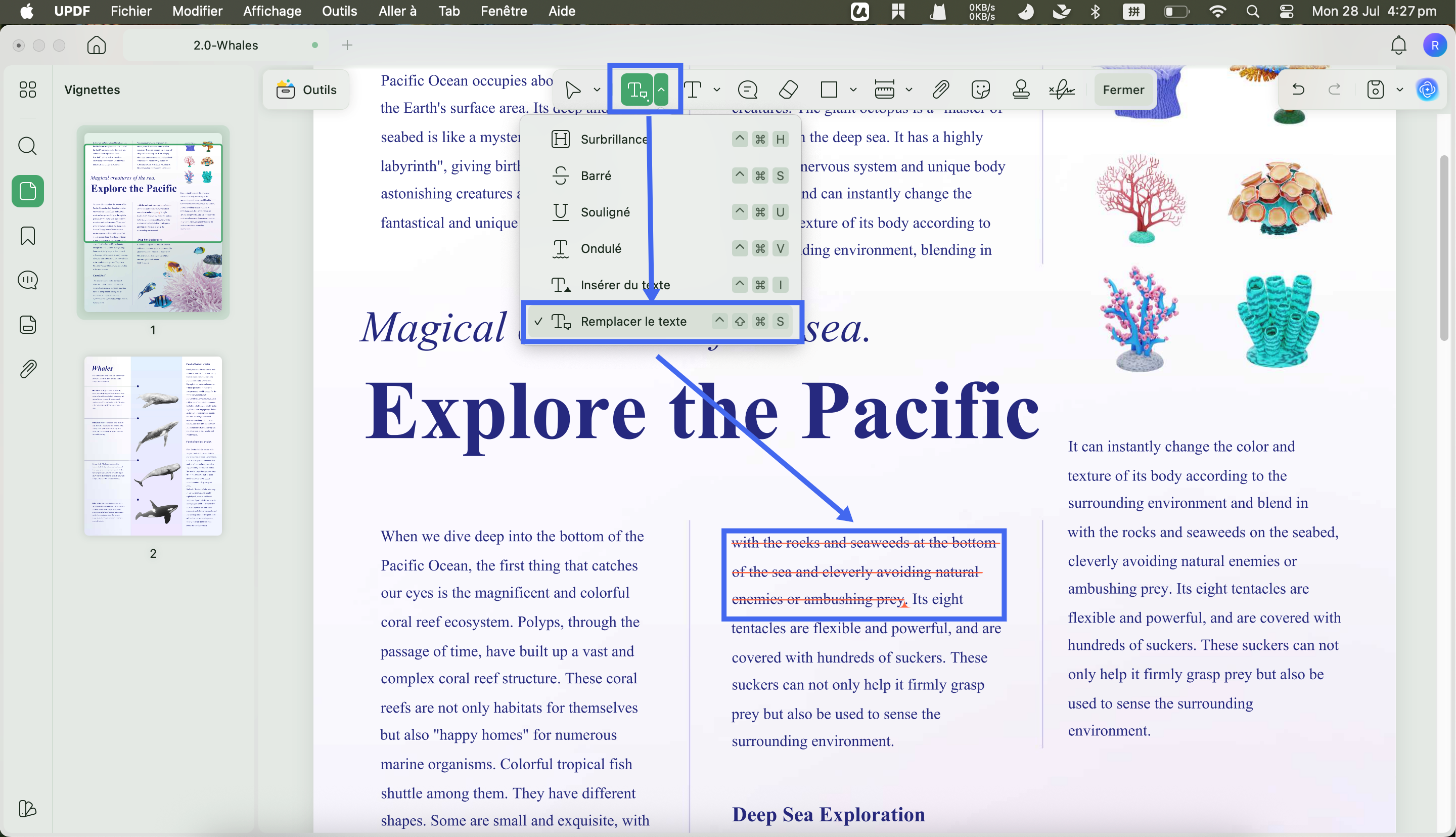 Annotation remplacement texte