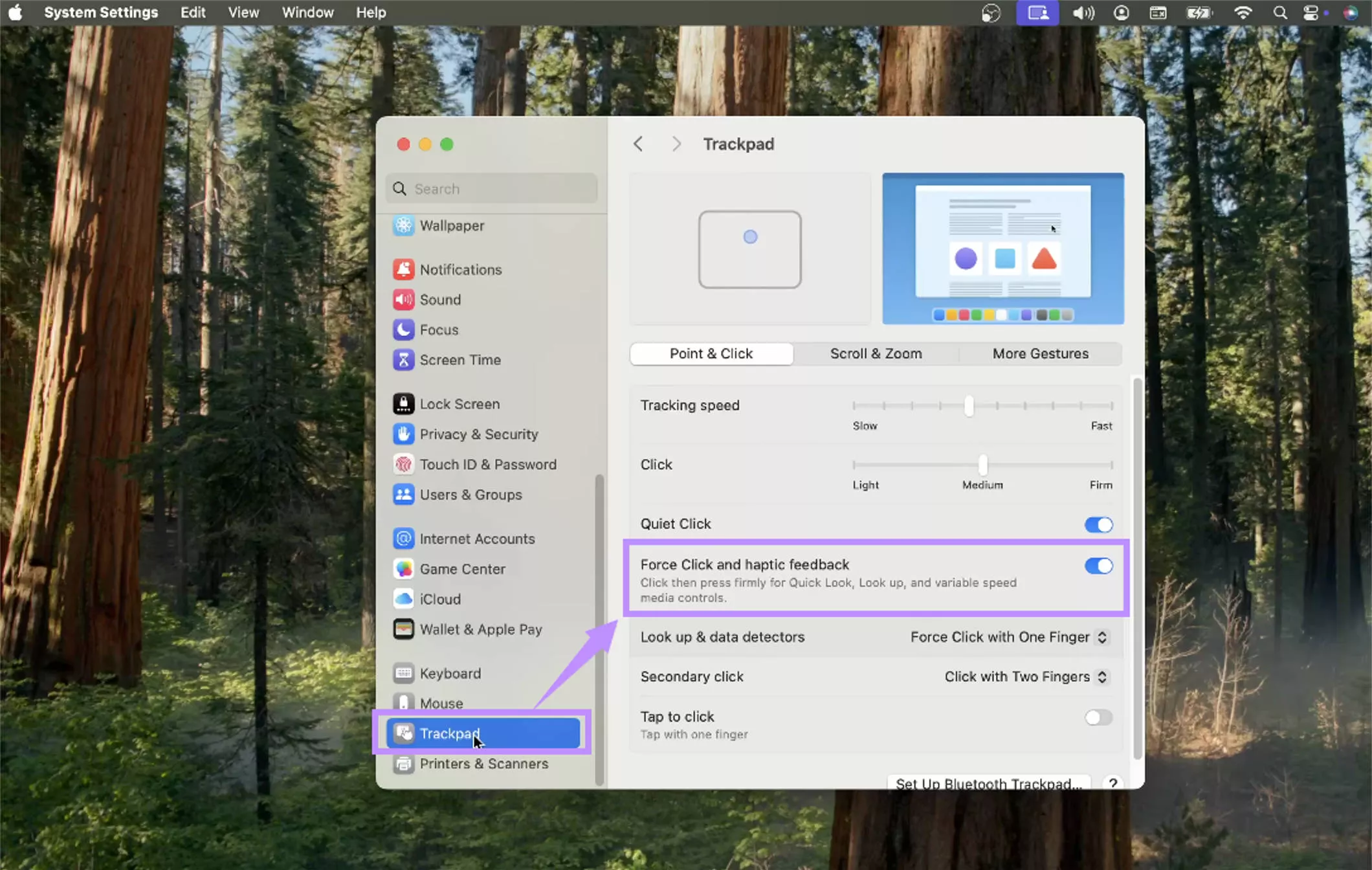 disable force click and haptic feedback mac