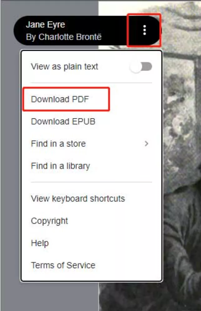 descargar libros de google books a pdf