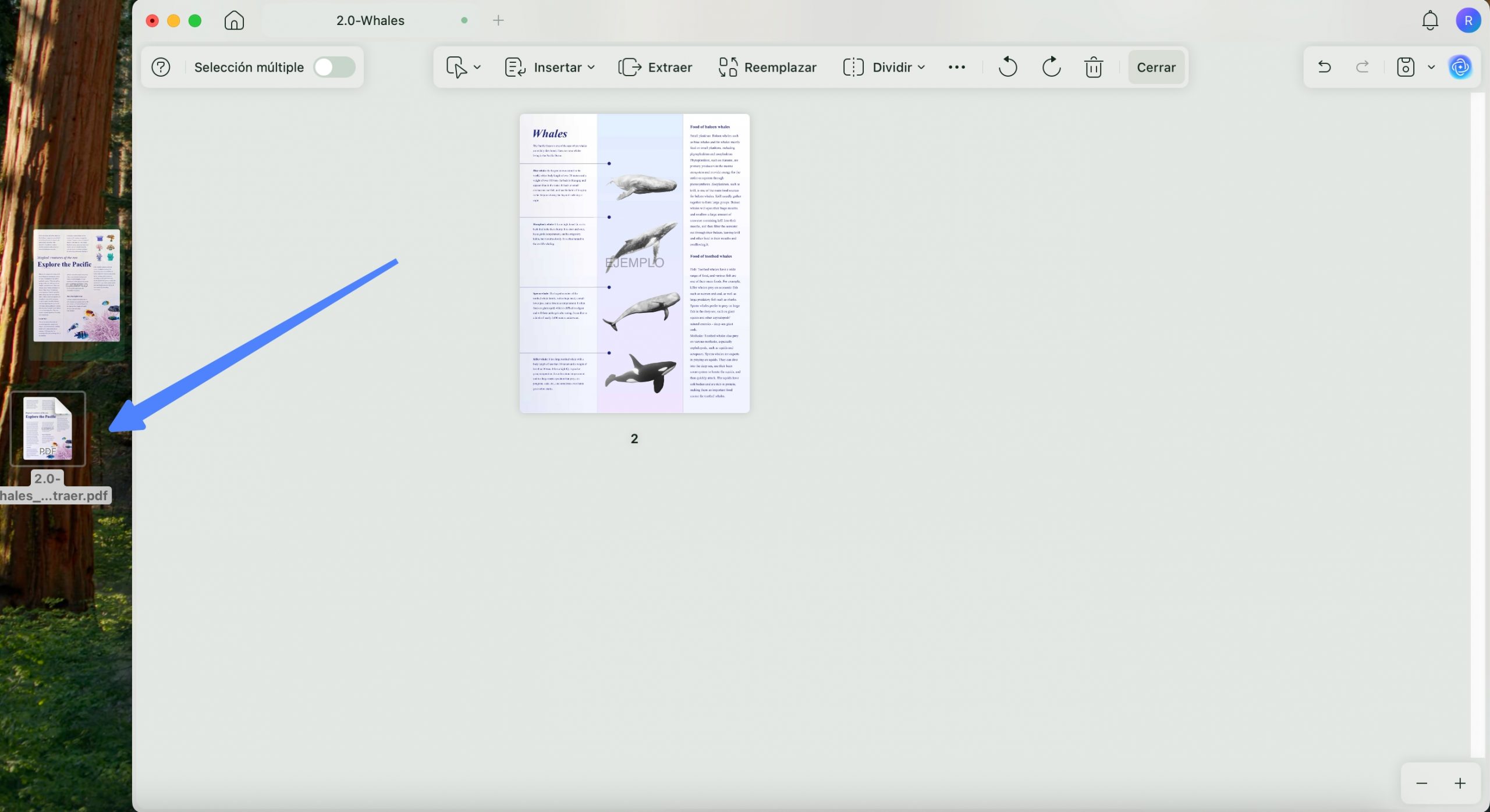 Arrastrar para extraer páginas con UPDF en Windows
