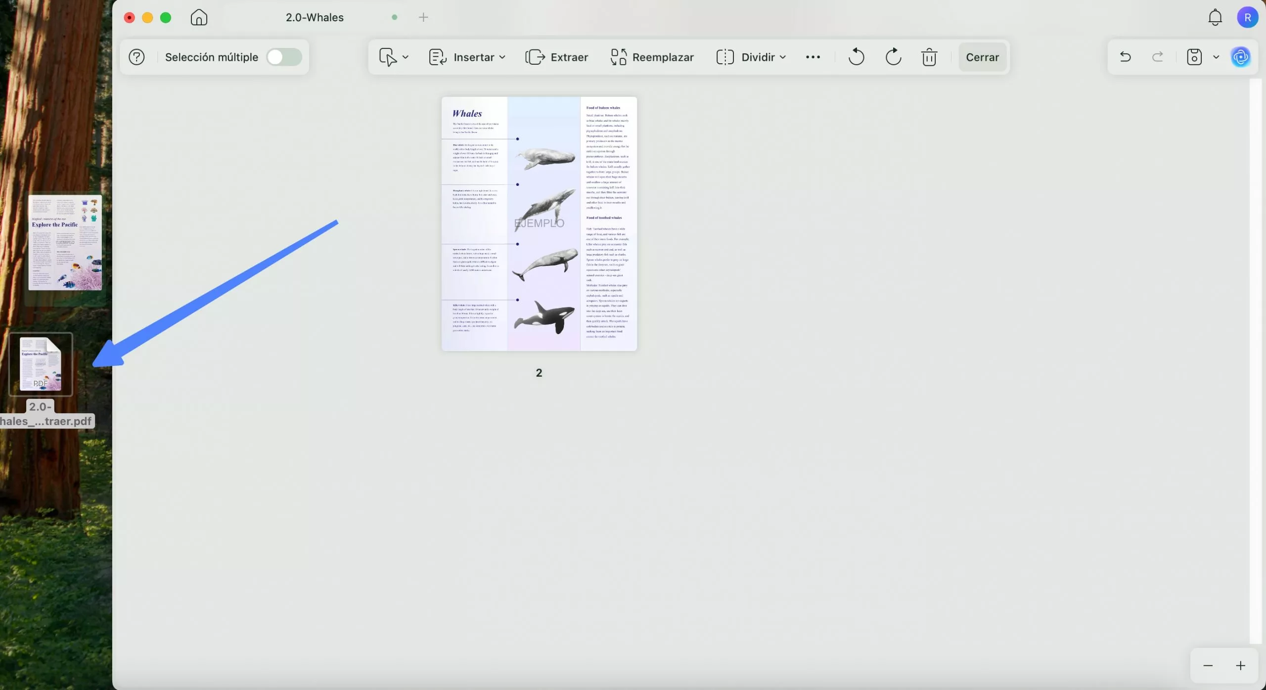 Arrastrar para extraer páginas con UPDF en Windows