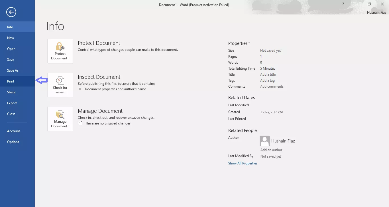 go to the print option word
