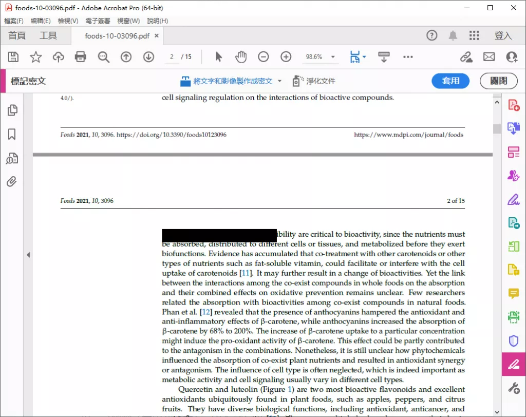 Adobe打馬賽克