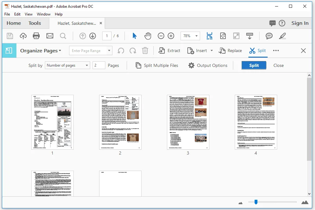 Adobe Acrobat