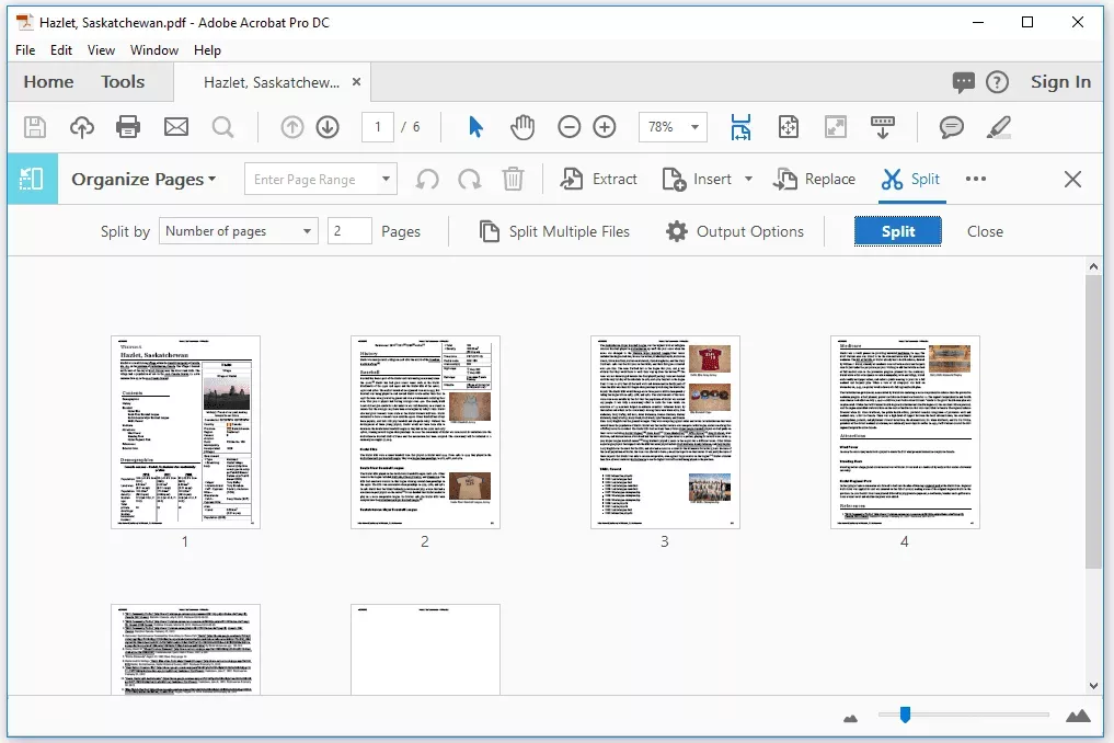 Adobe Acrobat