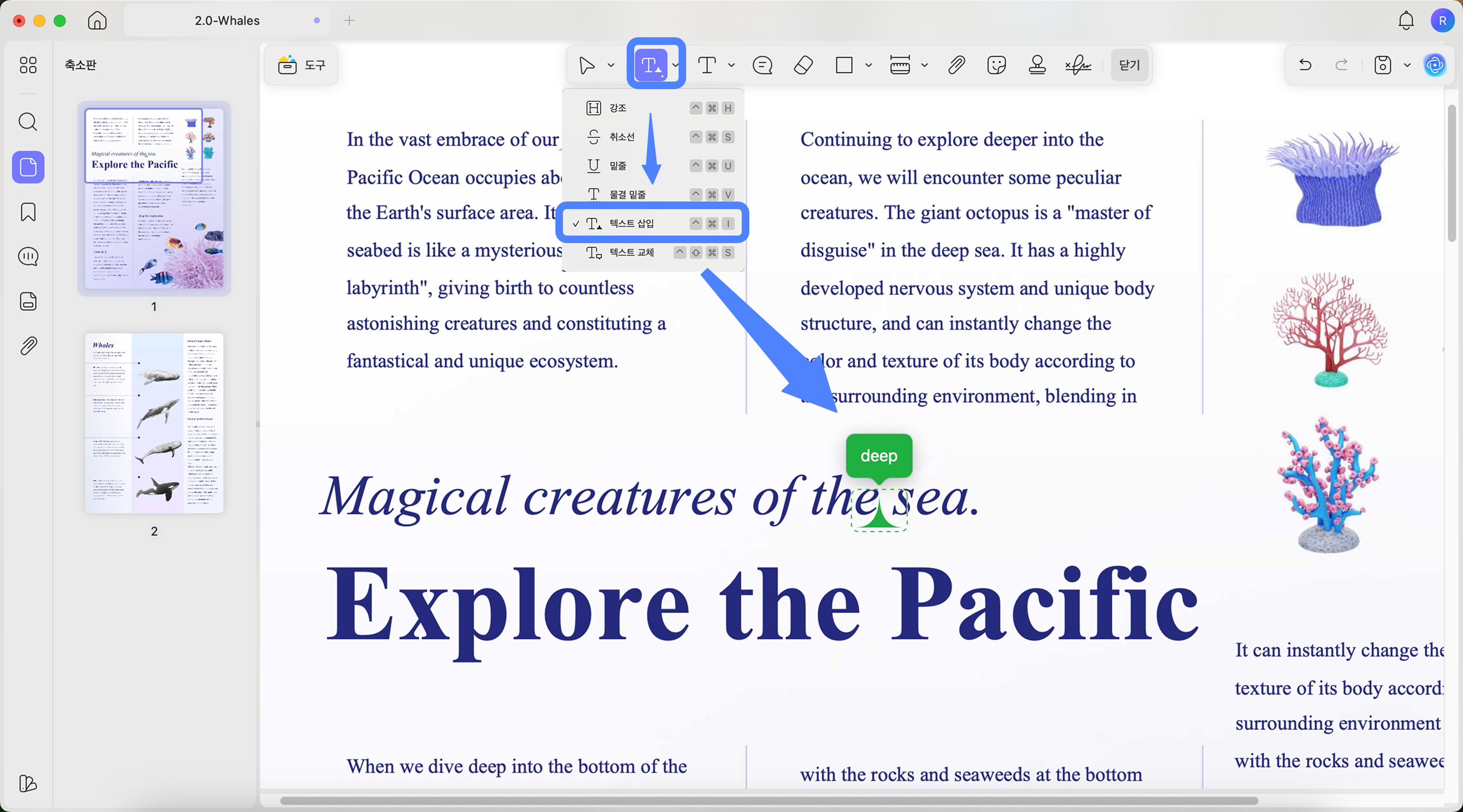 insert text annotation