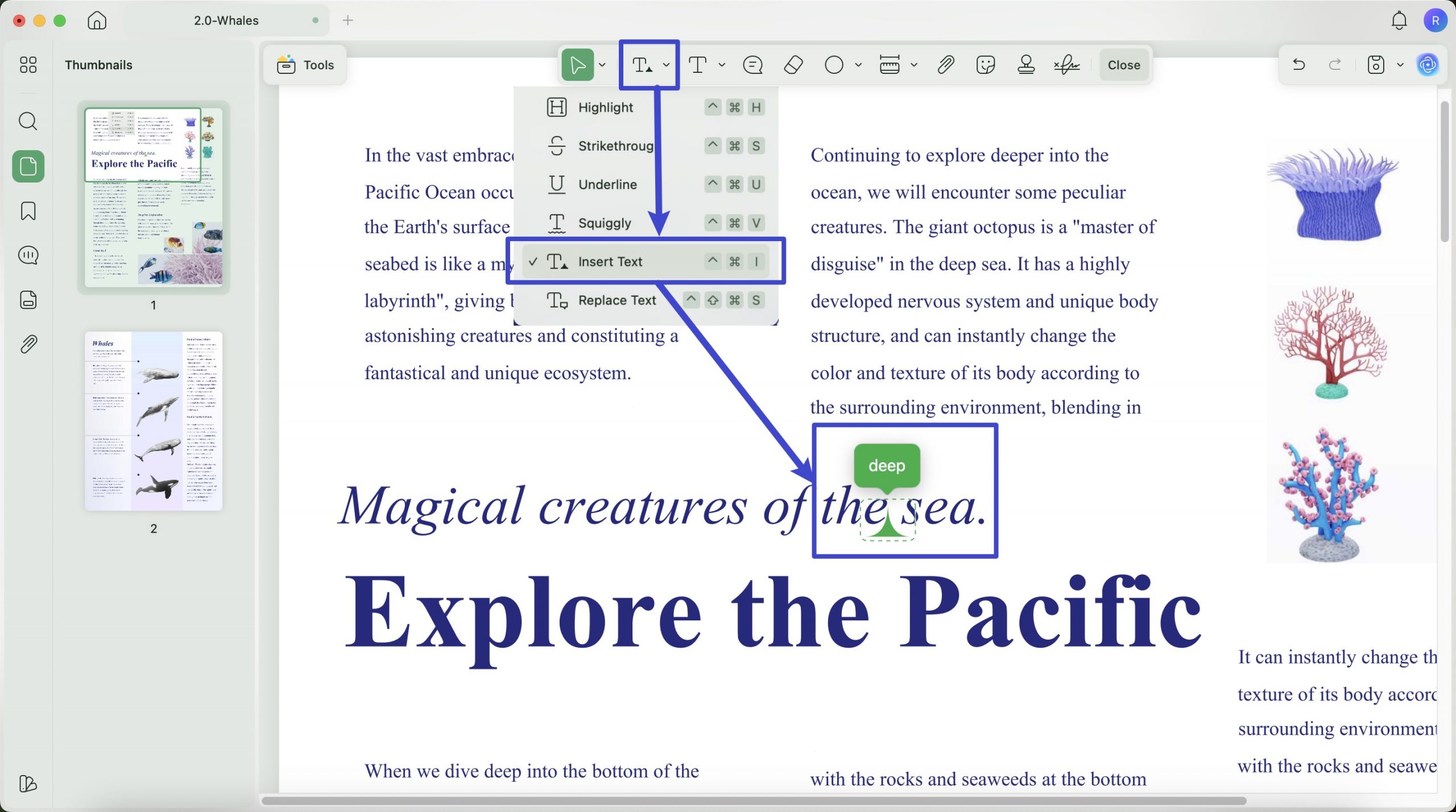 insert text annotation