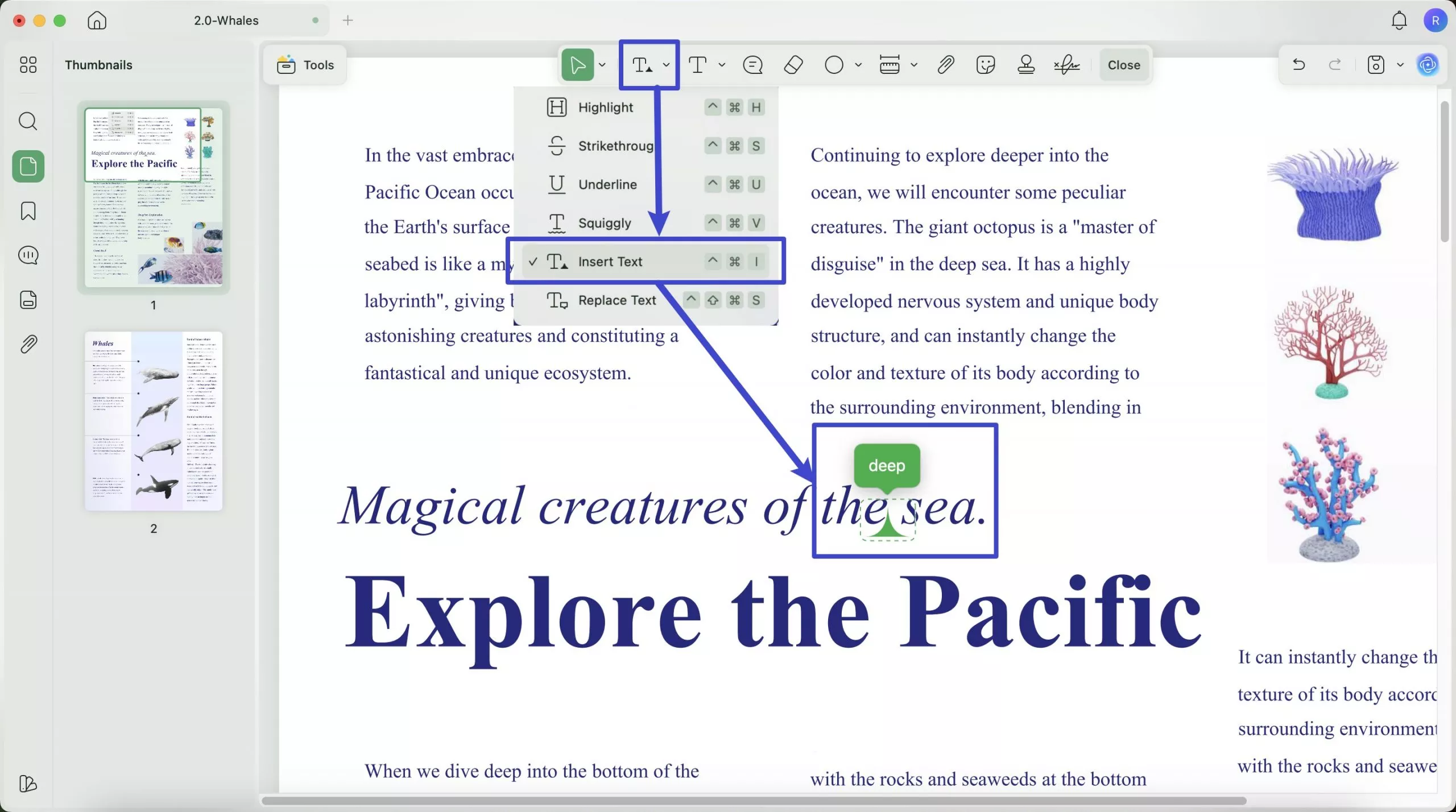 insert text annotation