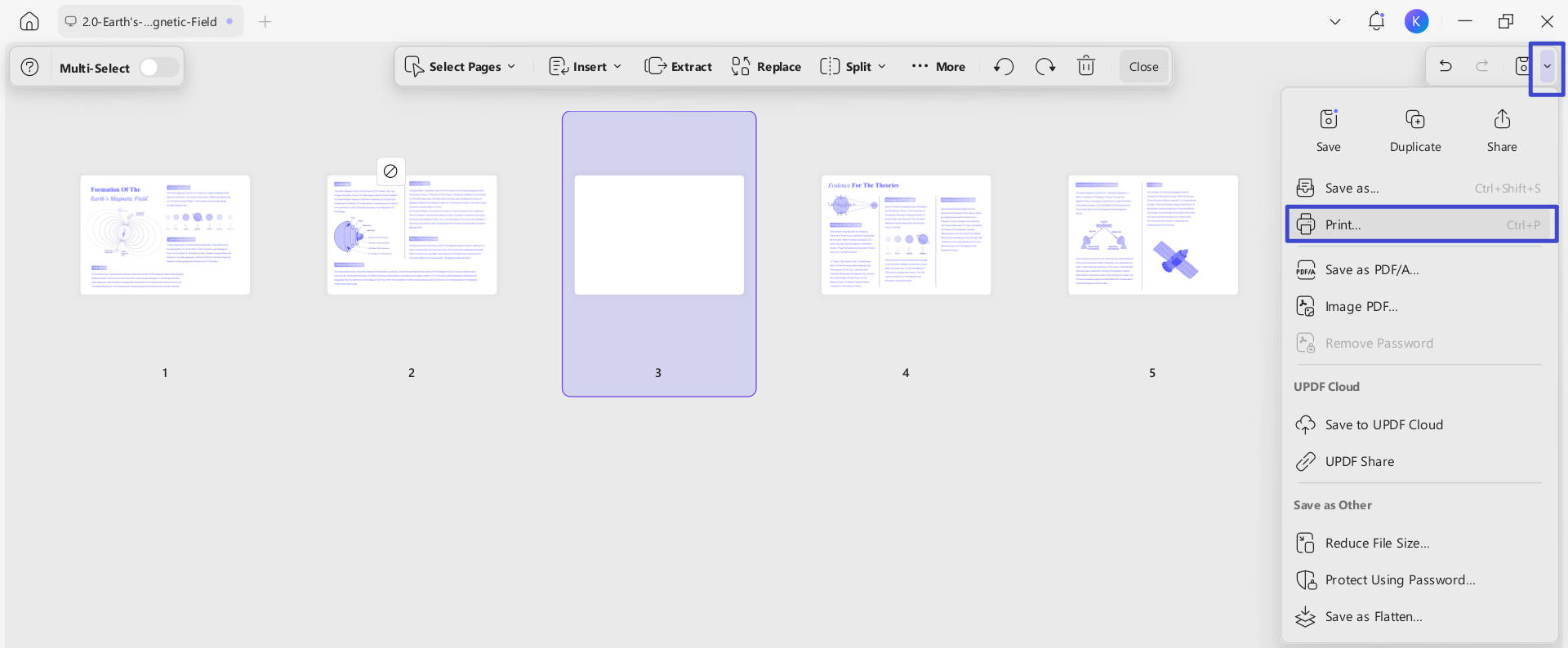 print edited pdf 1