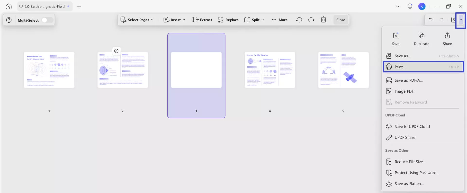 print edited pdf 1