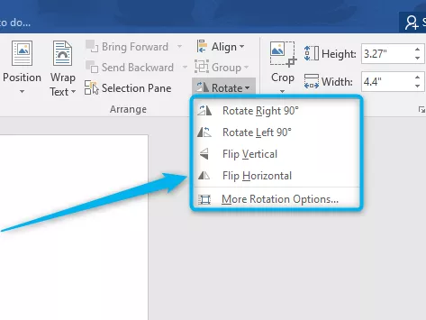 rotation options in Word