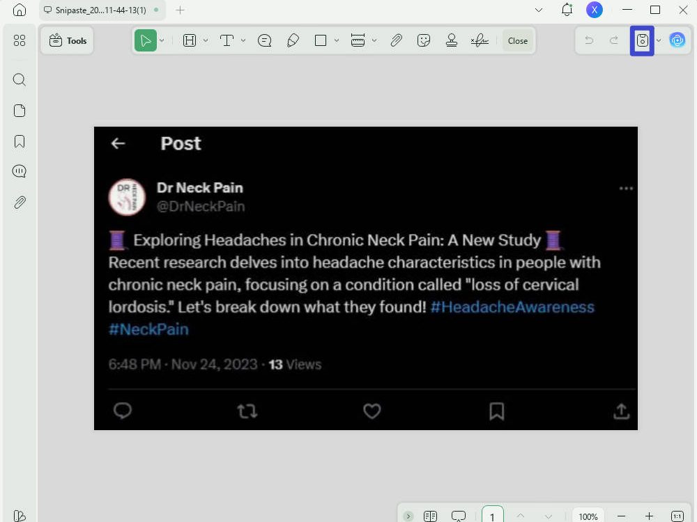 save pdf