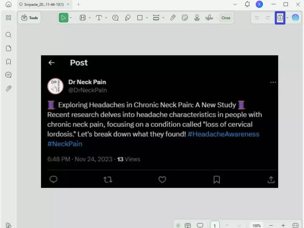 save pdf
