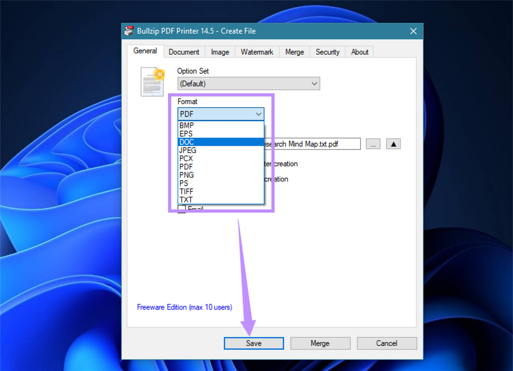 sélectionnez n'importe quel format de fichier et cliquez sur Enregistrer bullzip pdf printer