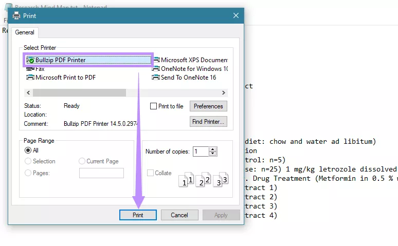 select bullzip pdf printer and click print bullzip pdf printer