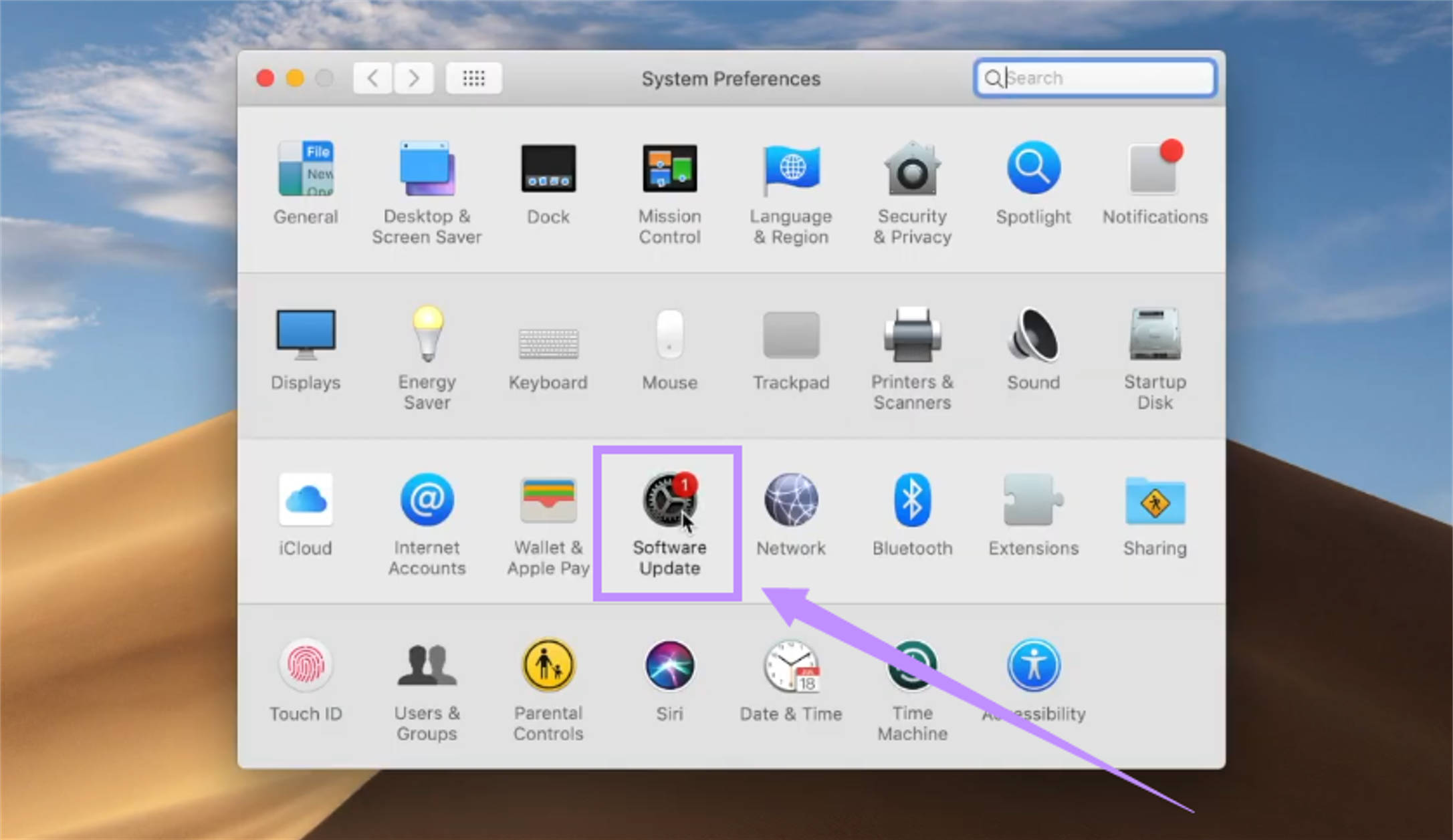 select software update mac