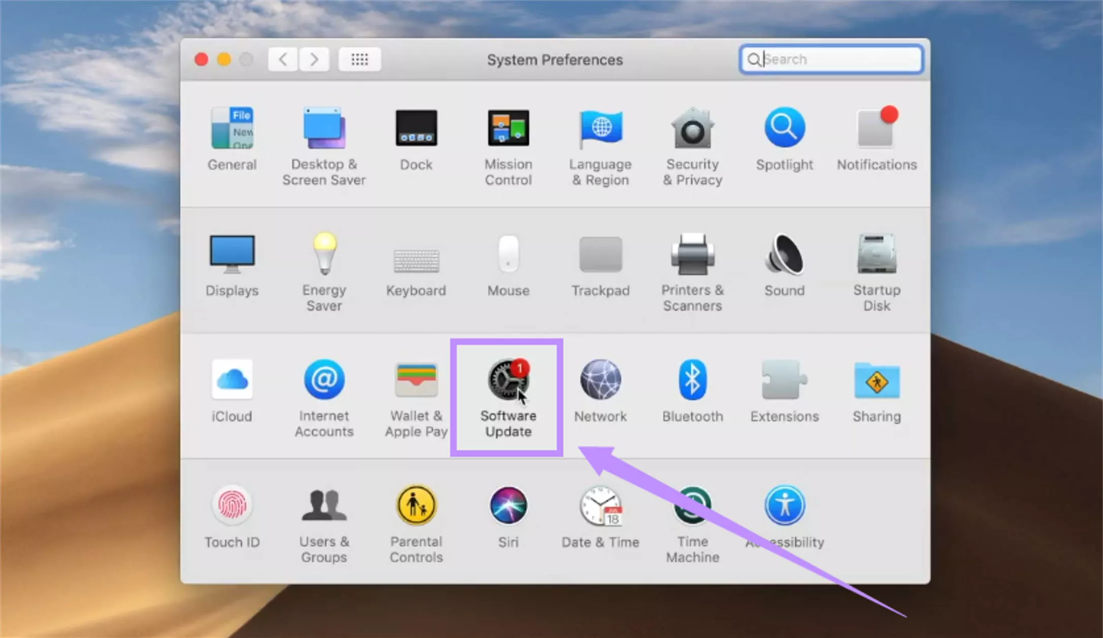 select software update mac