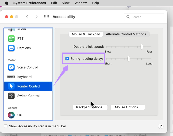 select spring loading delay mac