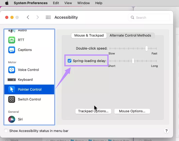select spring loading delay mac