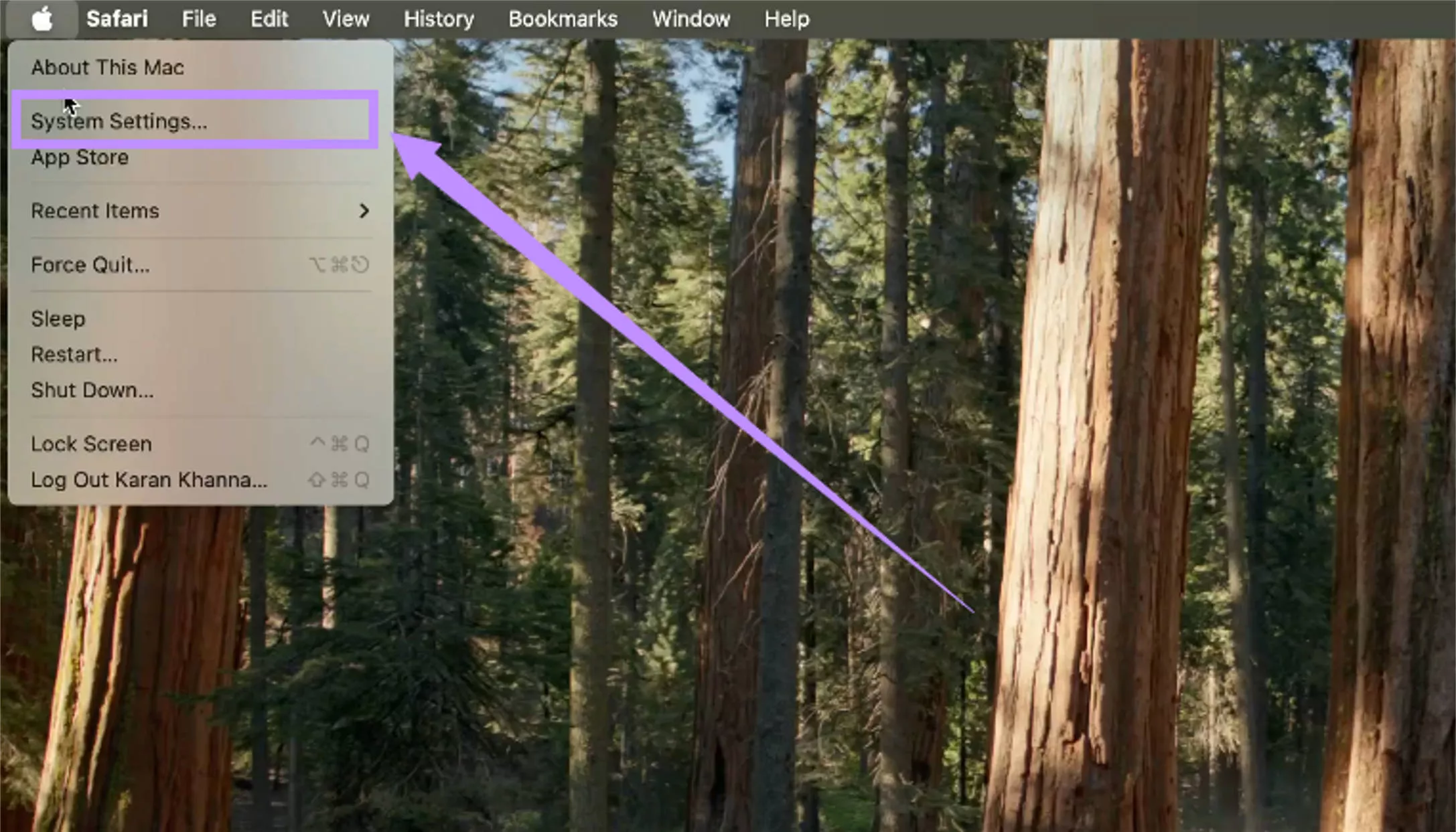 select system settings mac