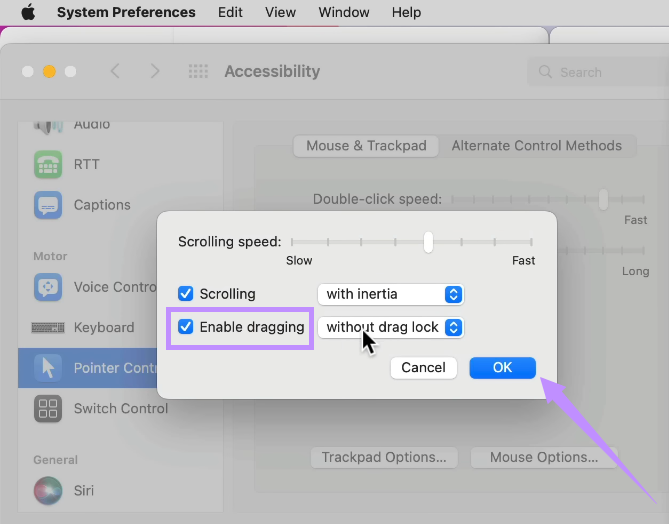 turn on enable dragging mac