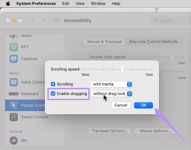turn on enable dragging mac