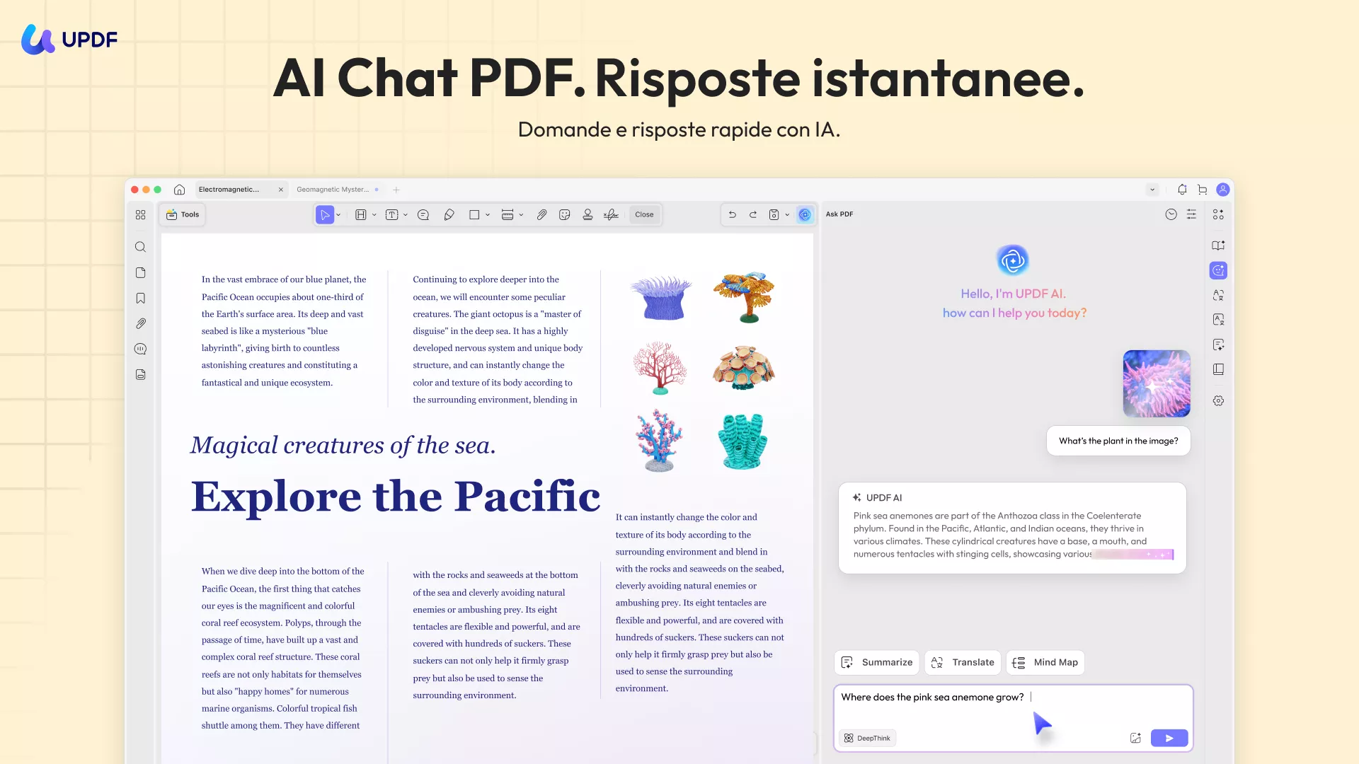 Convertitore da ACSM a PDF