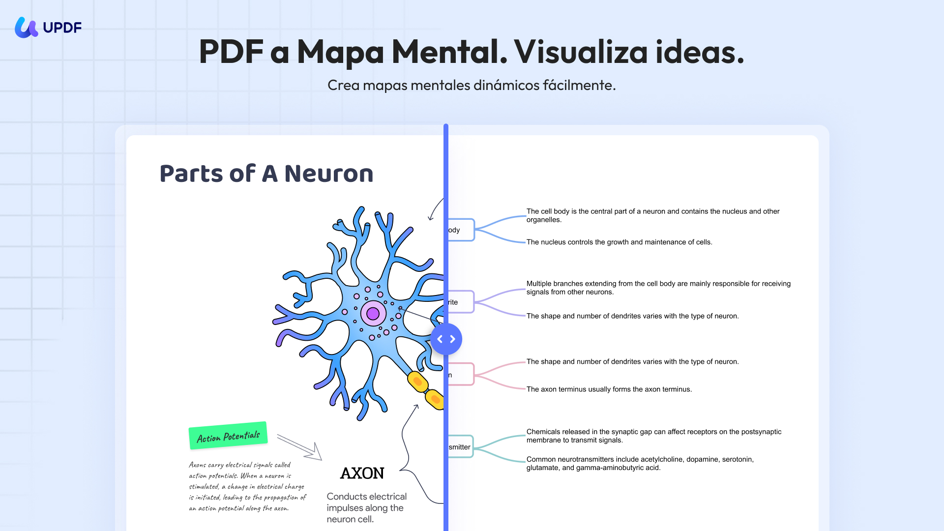 UPDF convierte PDF en mapa mental