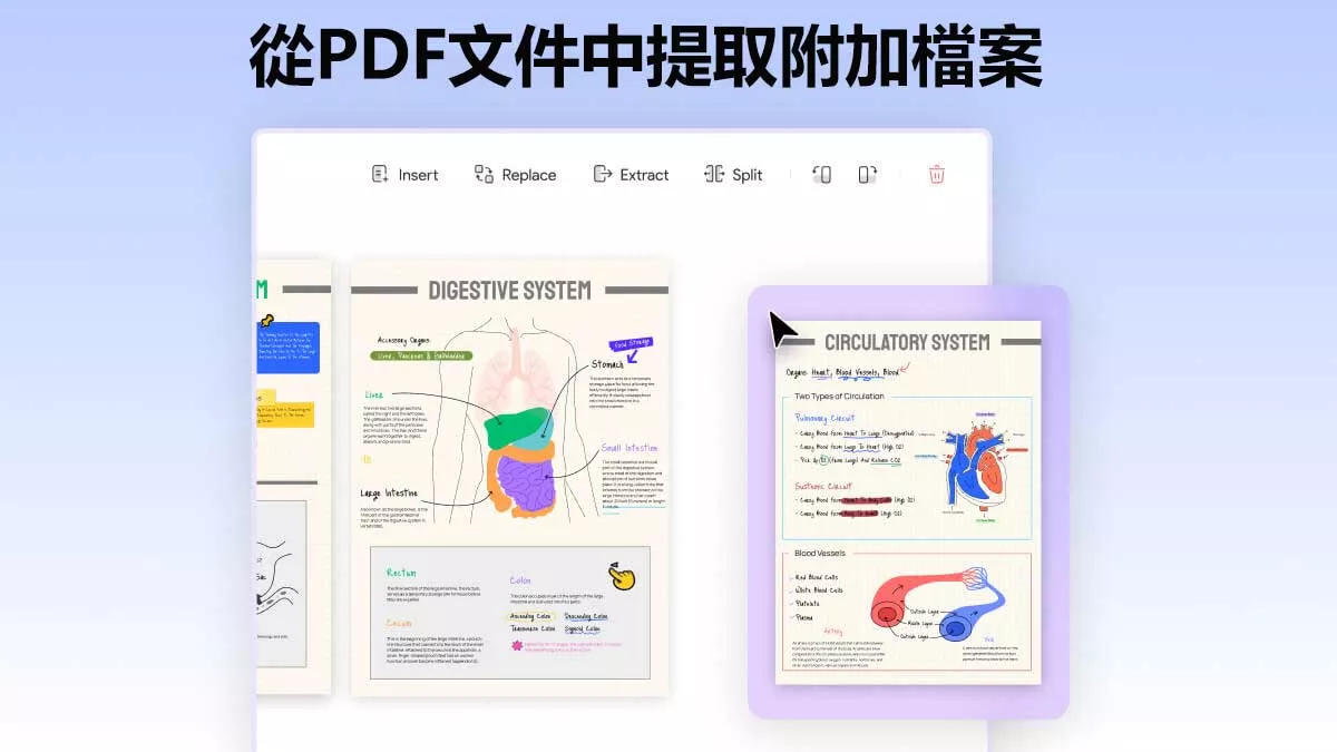 如何從PDF文件中提取附加檔案？