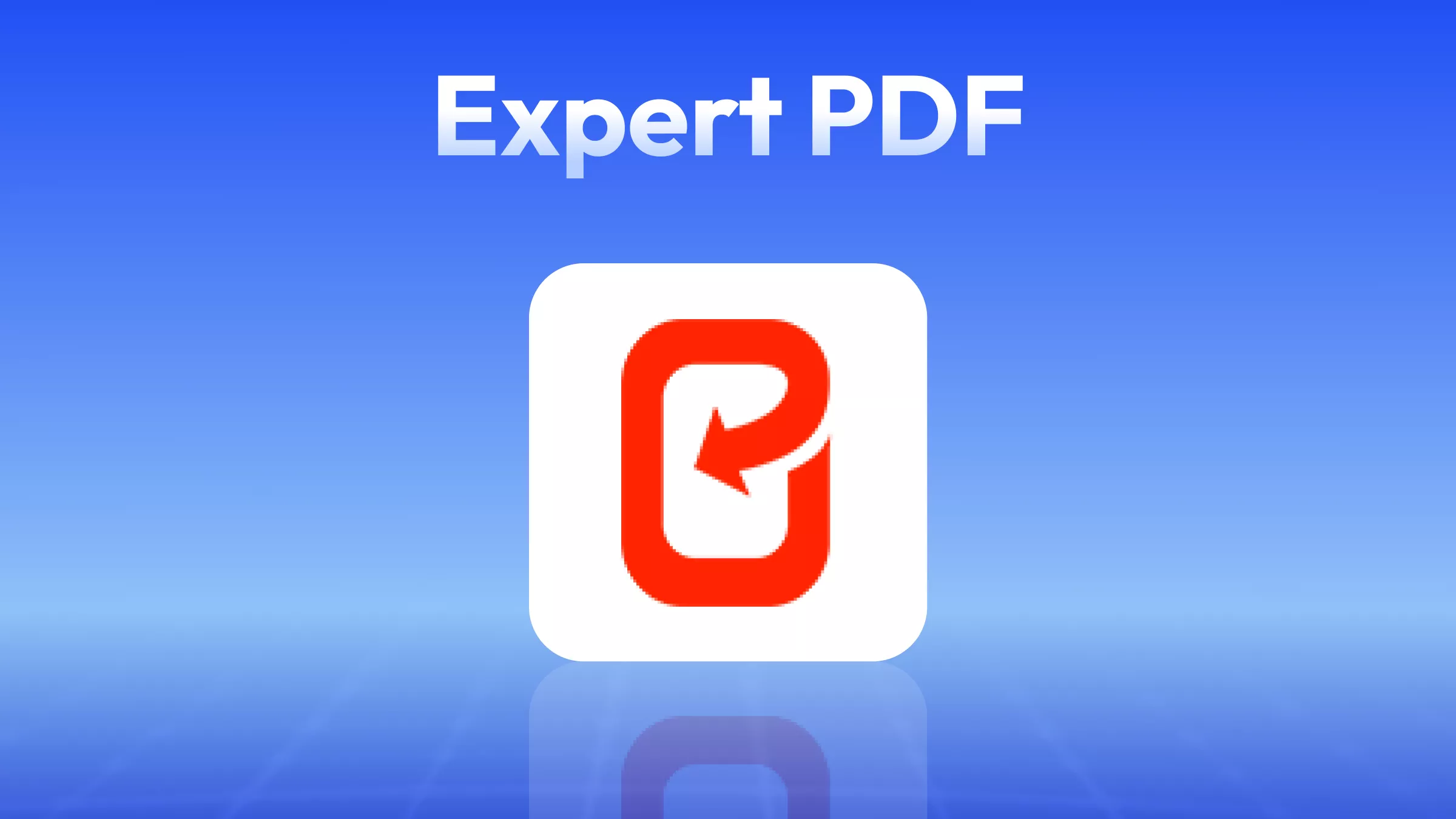Expert PDF Review: Is It Worth Your Try?