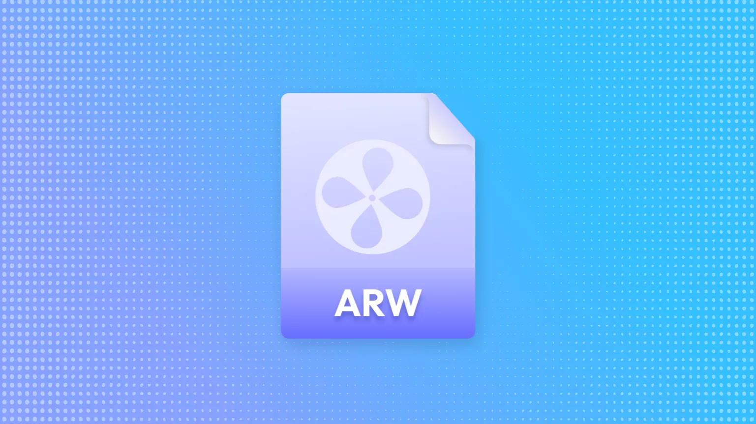 Understanding ARW Files and How to Convert Them