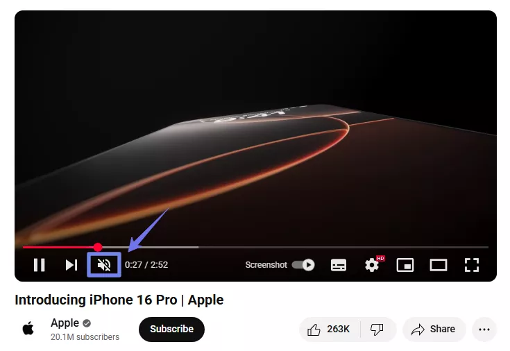 check if the video is muted mac
